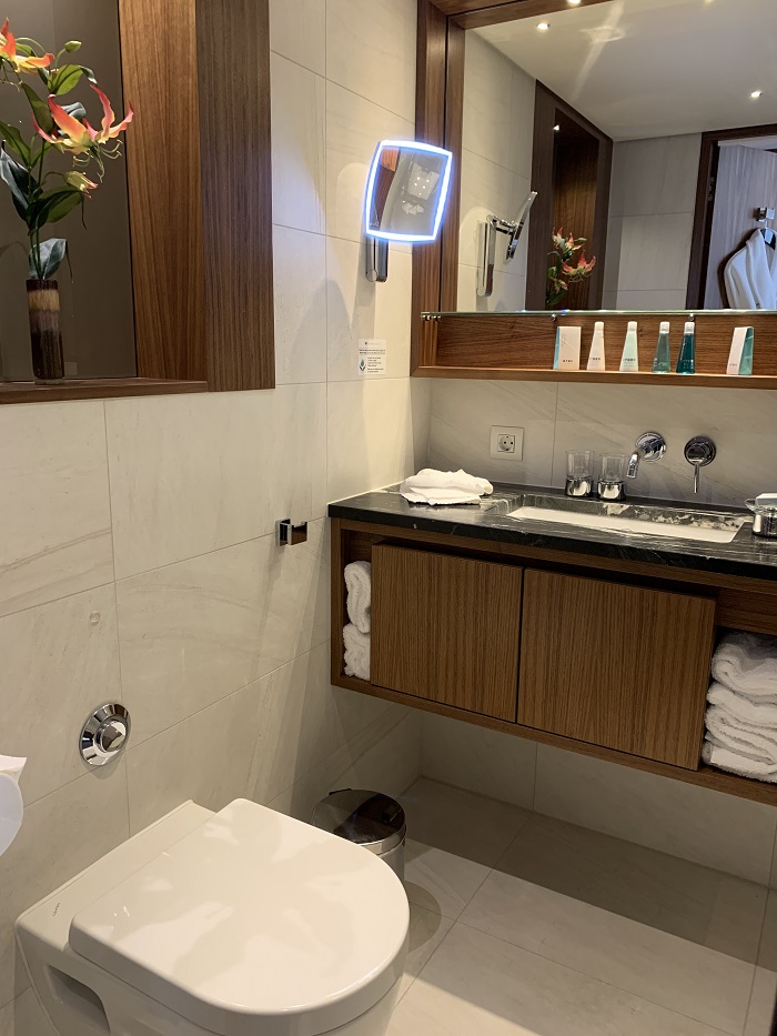 AmaMagna Balcony Stateroom 233 bathroom 2