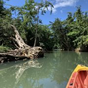 Finding myself in Dominica