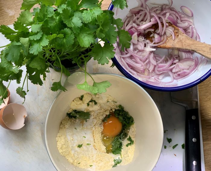 Spiced coconut veggie stew and onion fritters