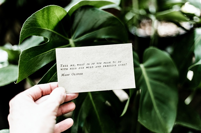 Tell me, what is it you plan to do with your one wild and precious life?