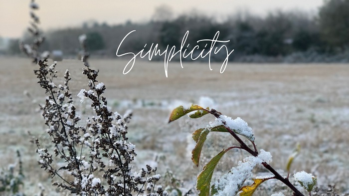 Good intentions for a gentle New Year Good intentions for a gentle New Year