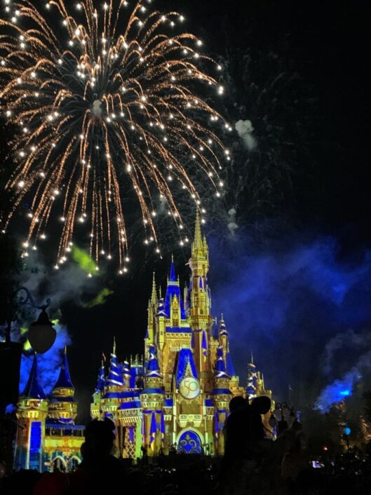 A beginner’s guide to Disney Genie Plus and Lightning Lanes A beginner's guide to Disney Genie+ and Lightning Lanes